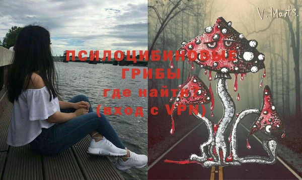 кокс Алексин