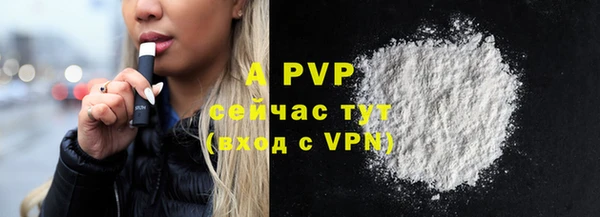 apvp Алзамай