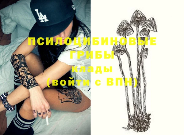кокс Алексин